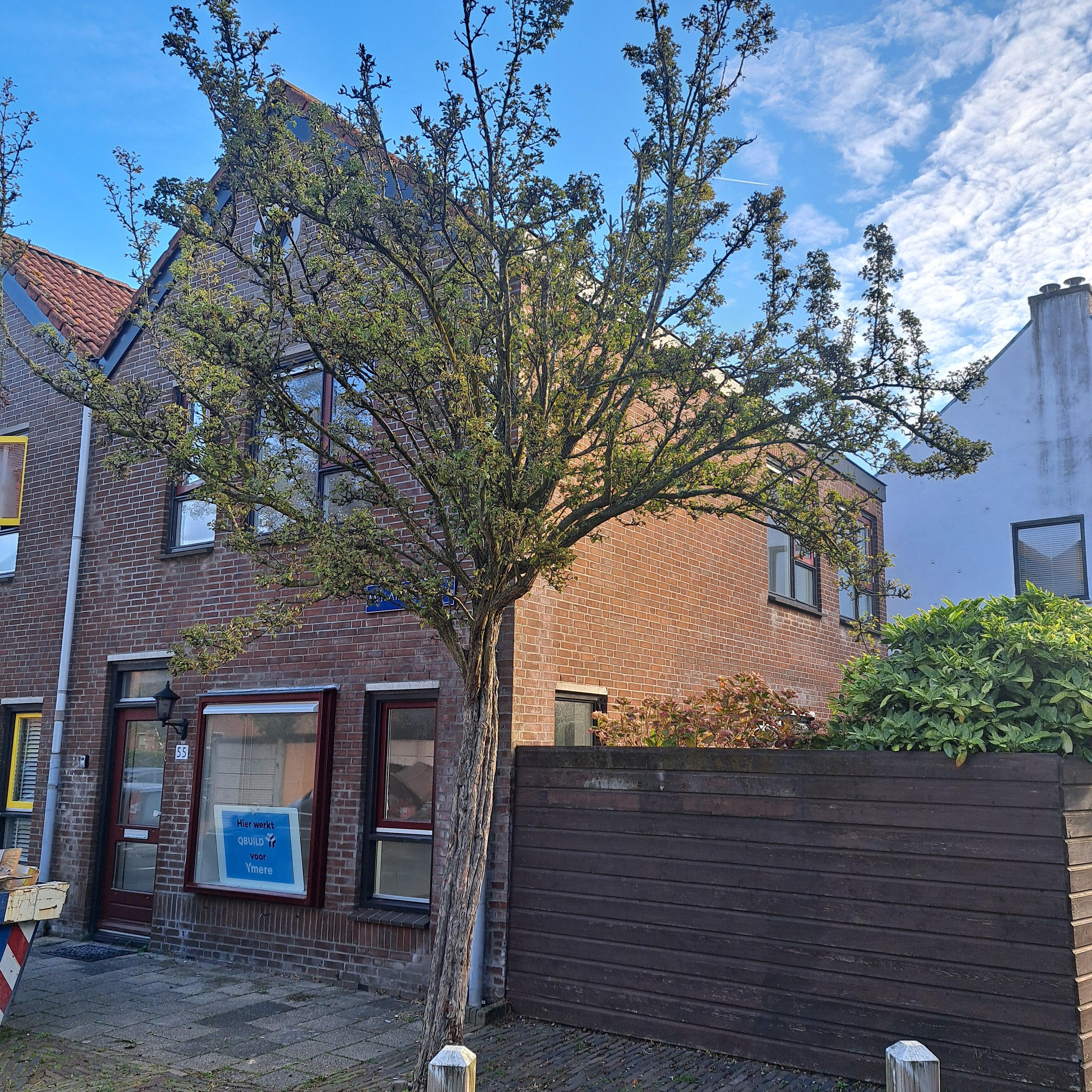 Mari Andriessenplein 55, Haarlem