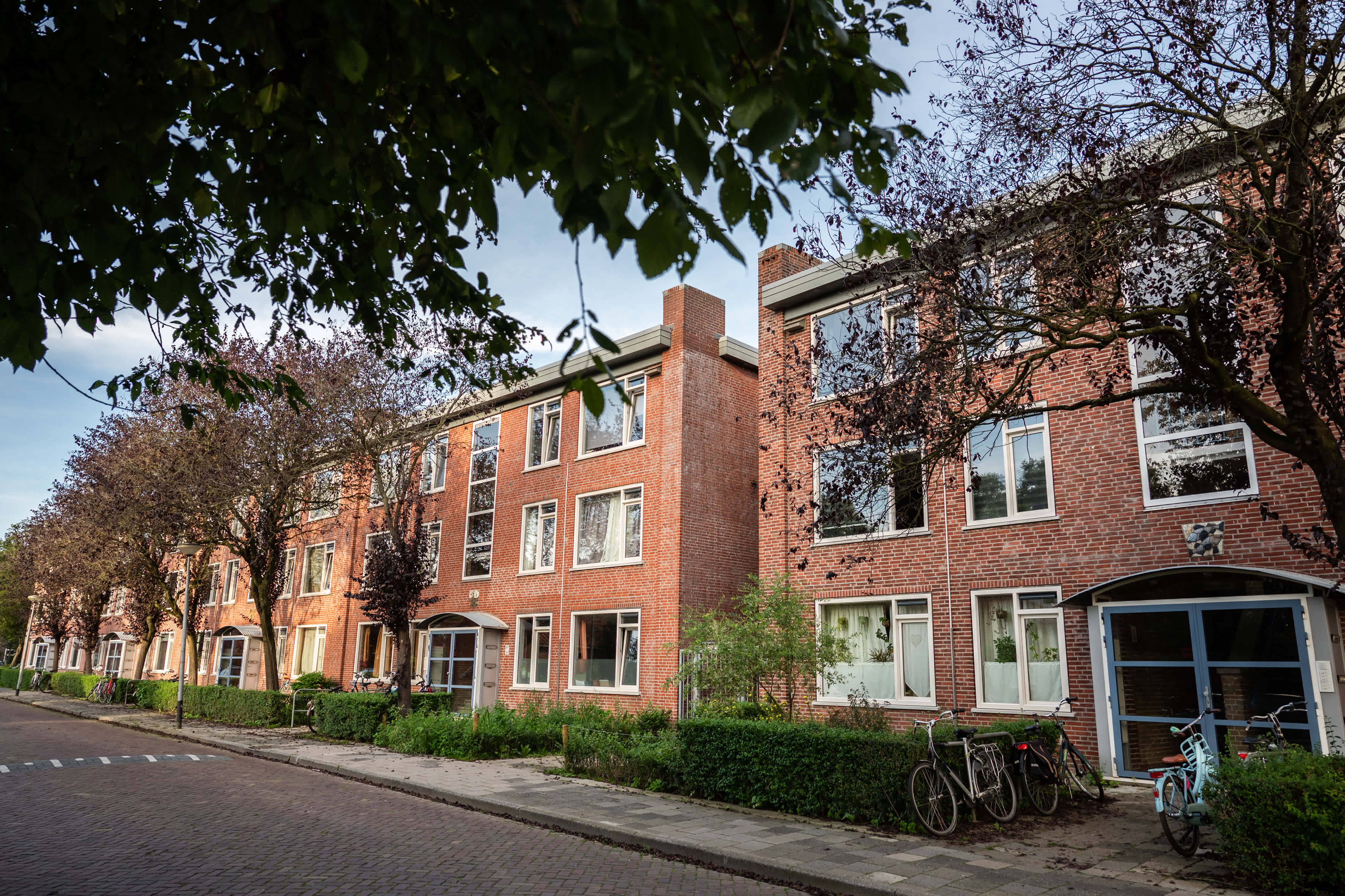 Van Oldenbarneveltlaan 253, Groningen