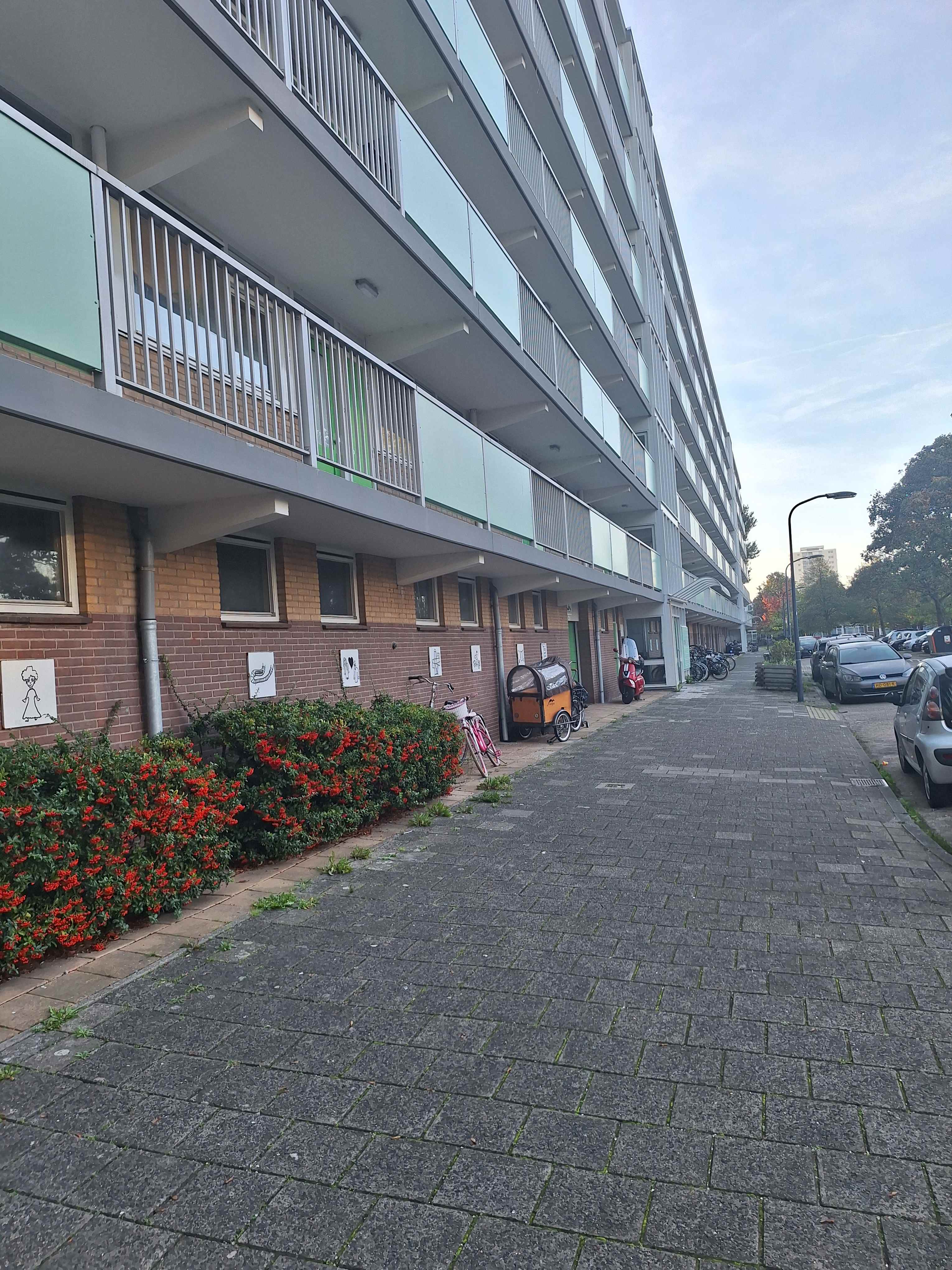 Van Konijnenburgstraat 79 Haarlem