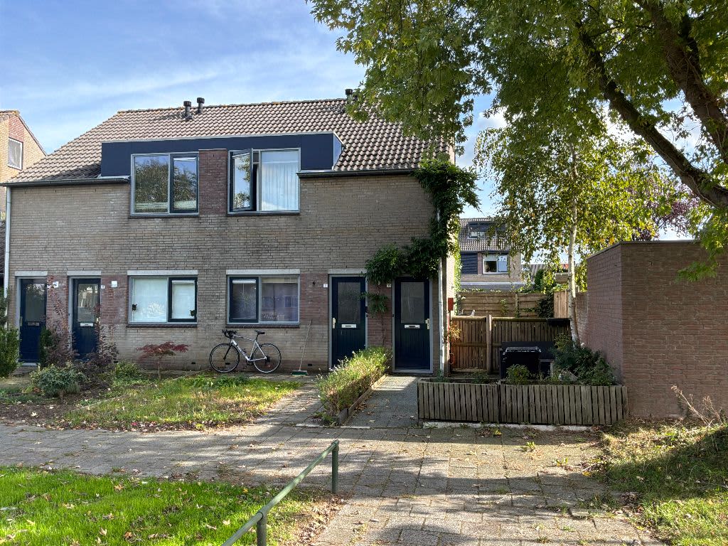Bakerbos 33 Deil