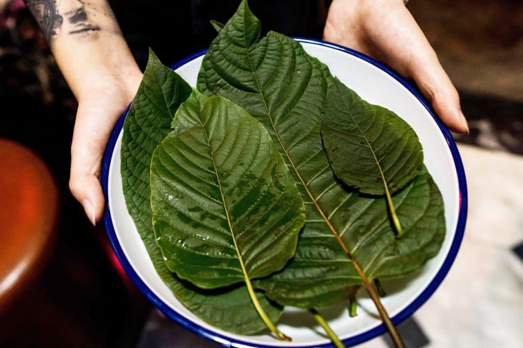 What is kratom and what are its effects?