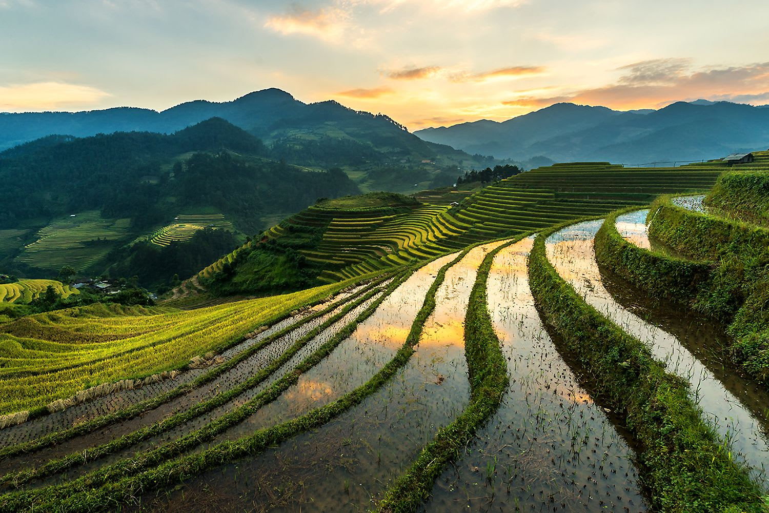 Vietnamese rice farm Mu Cang Chai