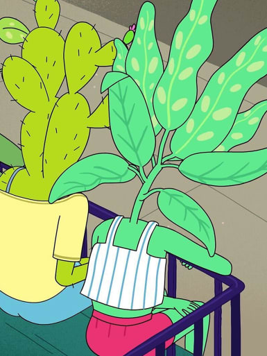 How to look after your plants all-year round