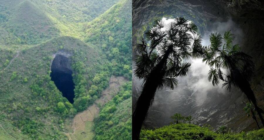 scientists discover huge sinkhole with stunning ancient forest growing inside