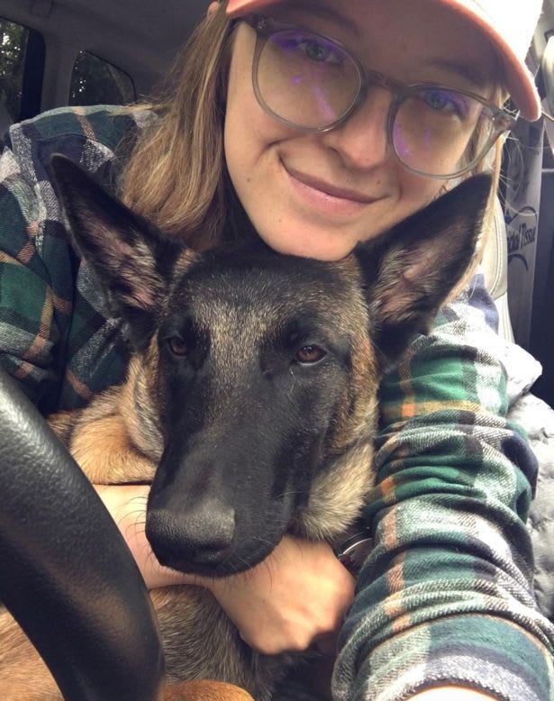 this heroic dog survives after defending owner from mountain lion