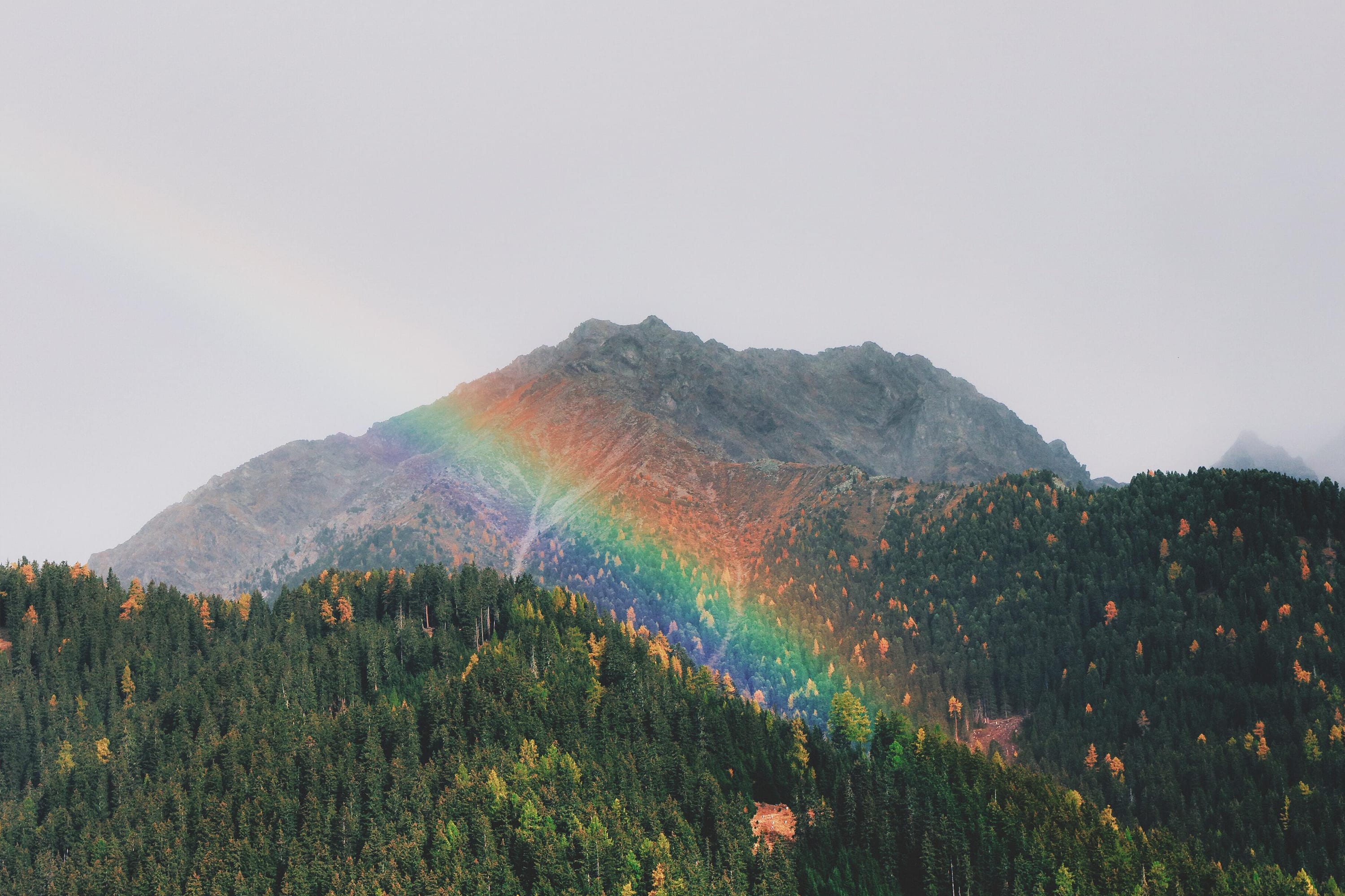 Rainbows are actually full circles