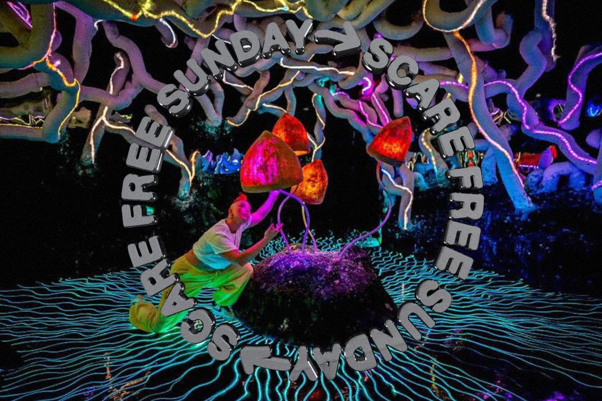 Scare-free Sundays: Rosalía’s merengue bop, a touching memoir about a Chinese takeaway and a psychedelic amazement park