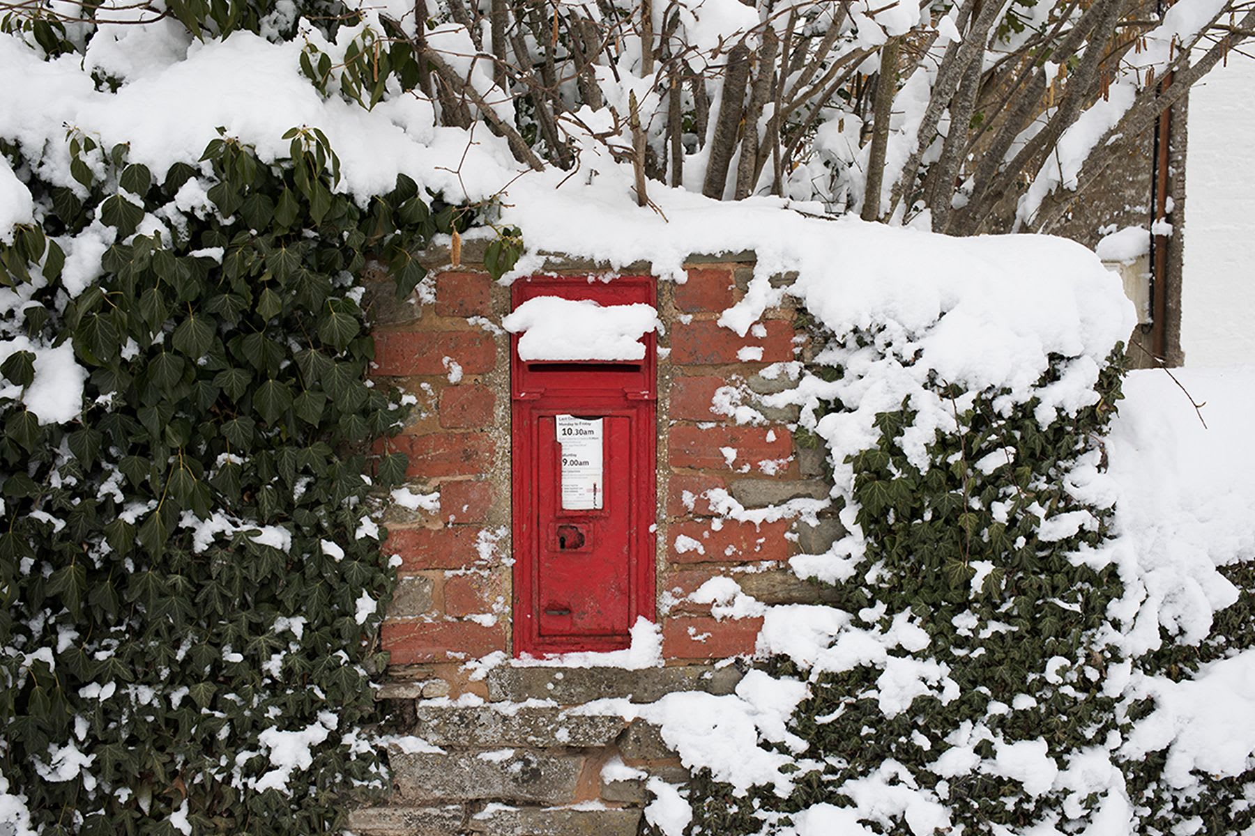 Eight ways to make Christmas work for the planet