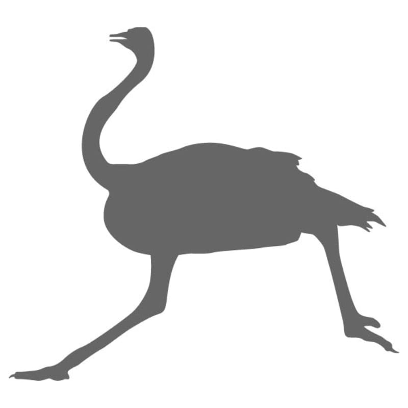 Ostrich Craft Shape | Craftcuts.com