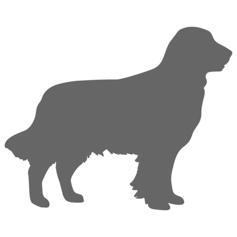 Golden Retriever Craft Shape
