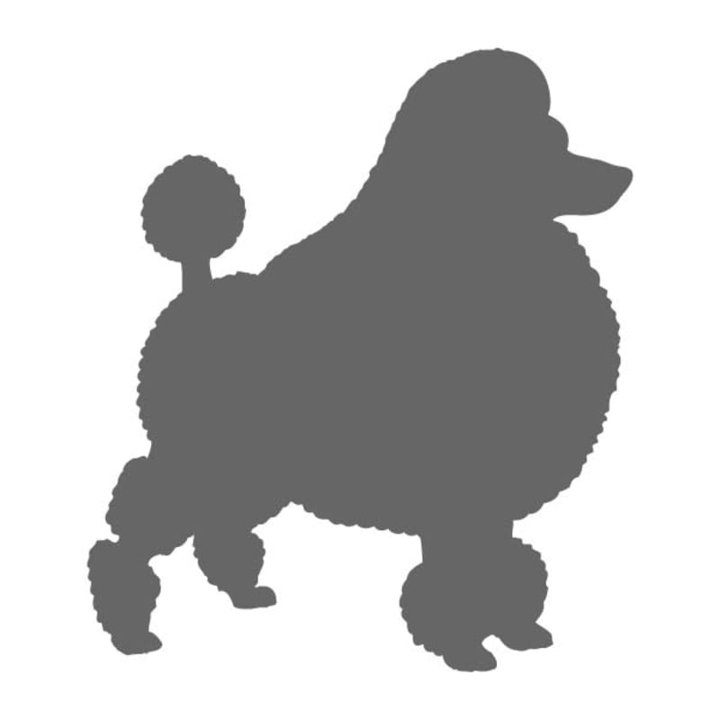 Fluffy Poodle Stencil | Craftcuts.com