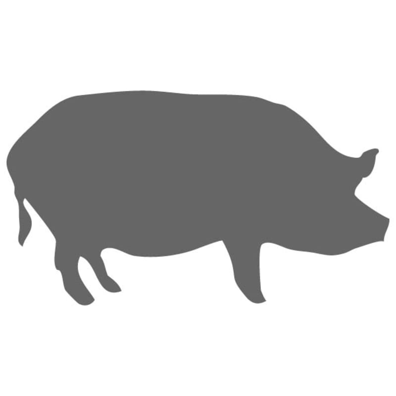 pig-stencil-craftcuts