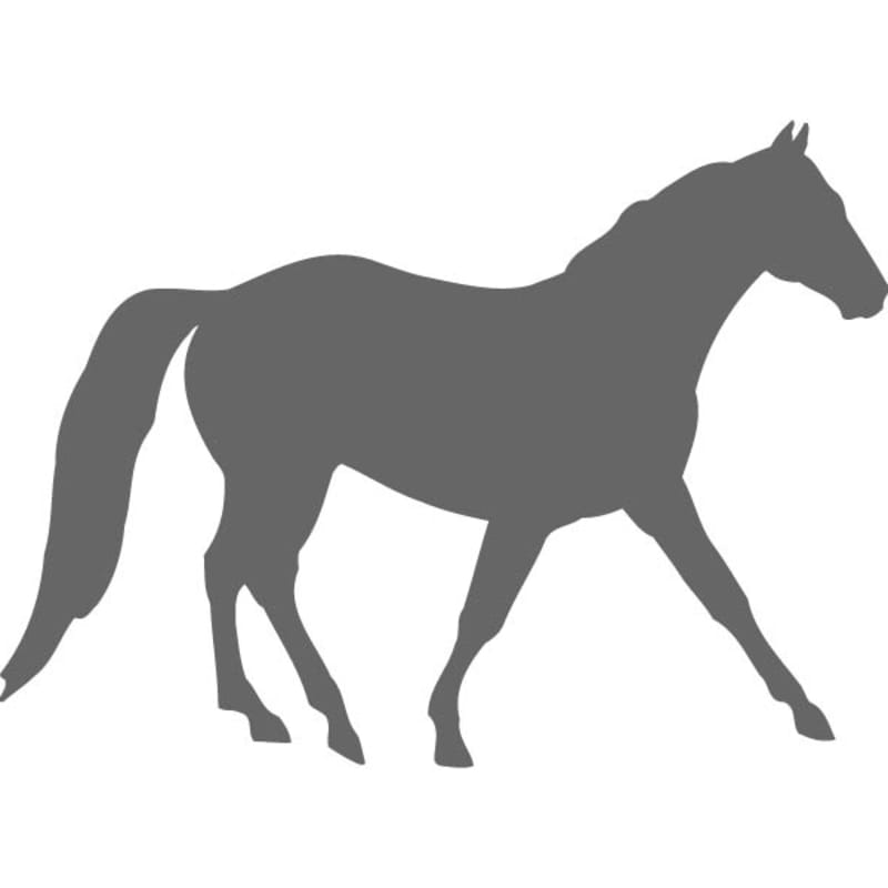 Missouri Fox Trotter Stencil Craftcuts Com