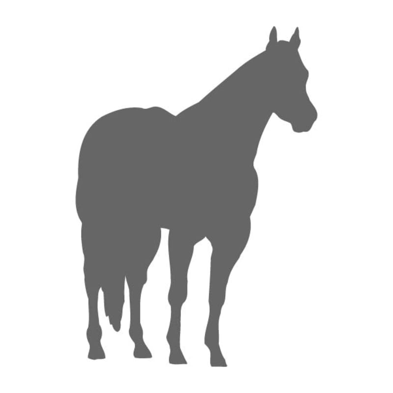 Paint Horse Stencil