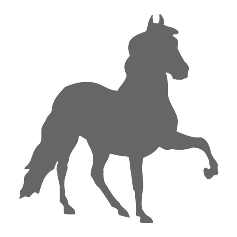 Peruvian Paso Stencil | Craftcuts.com