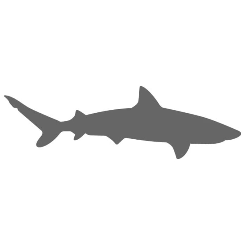 shark 4 stencil craftcutscom