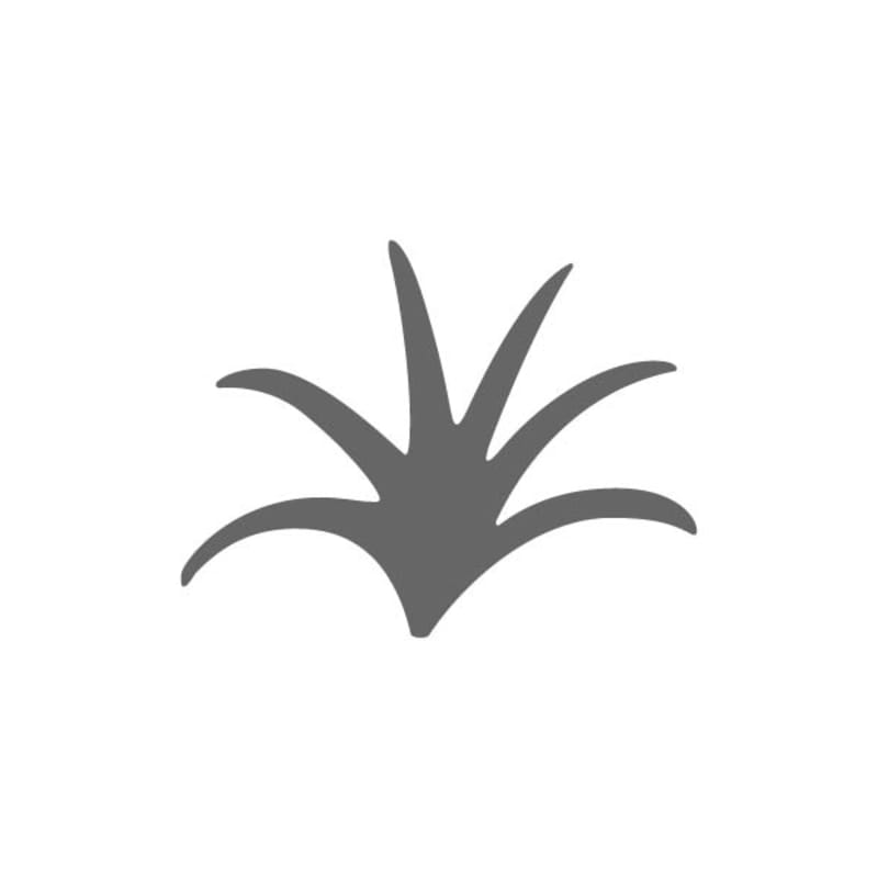Flower Leaf 1 Stencil Craftcuts flower-leaf-1-stencil-craftcuts