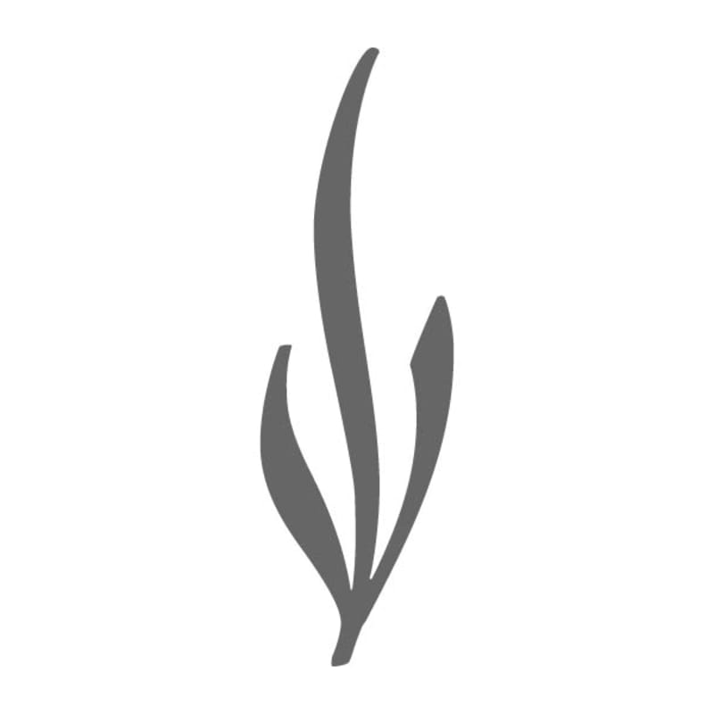 Flower Leaf 4 Stencil | Craftcuts.com