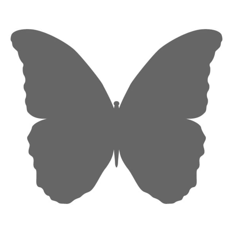 Butterfly Stencil Ideas