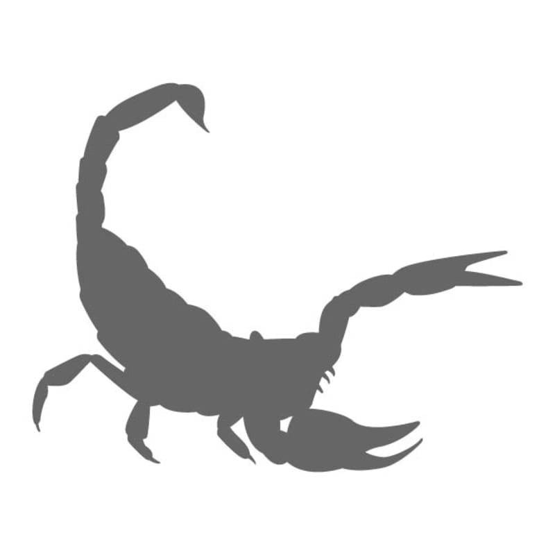Raised Scorpion Stencil