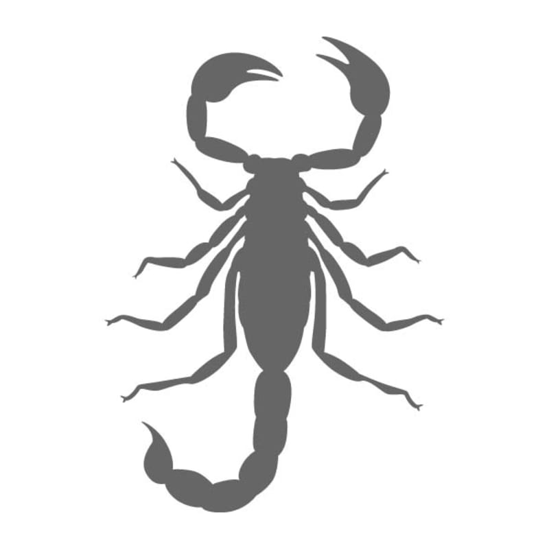 Scorpion Stencil