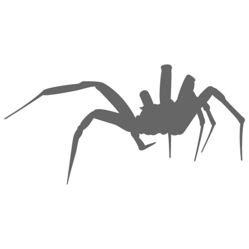 Spider Stencil