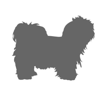 Pet dog Stencil Styles - Customized Puppy Stencils photo regarding Printable Dog Stencils identify Puppy Stencil Designs - Custom made Pet dog Stencils
