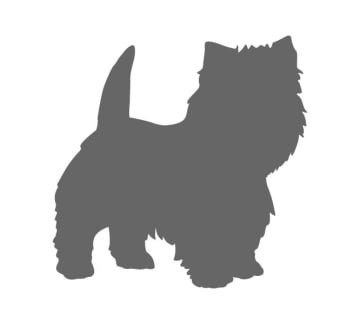 Doggy Stencil Styles - Personalized Canine Stencils graphic relating to Printable Dog Stencils called Doggy Stencil Designs - Customized Doggy Stencils