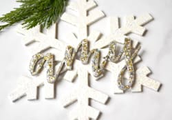 Snowflake Name Kit