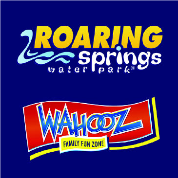 Custom Sign for Wahooz - Roaring Springs | Advanced Sign