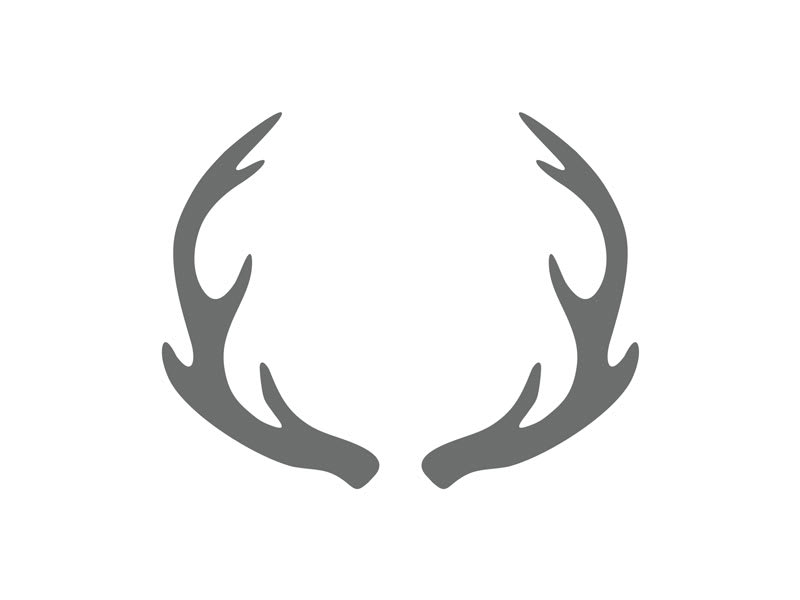 Antler Stencil Antlers Stencil Craftcuts