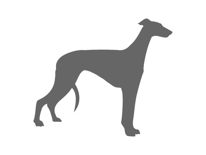 Greyhound Shape Greyhound Craft Shape | Craftcuts.com