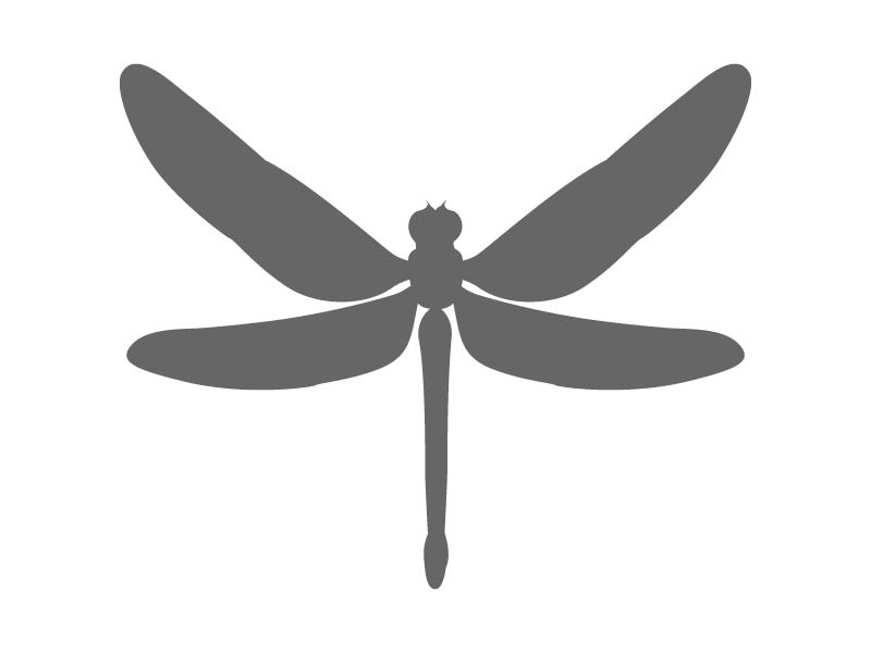 Flying Dragonfly Stencil Craftcuts