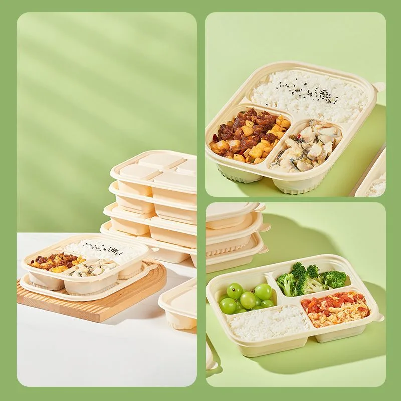 Disposable environmentally friendly and biodegradable corn starch lunch box with lid, light food, fast food takeaway, packed lunch box 4