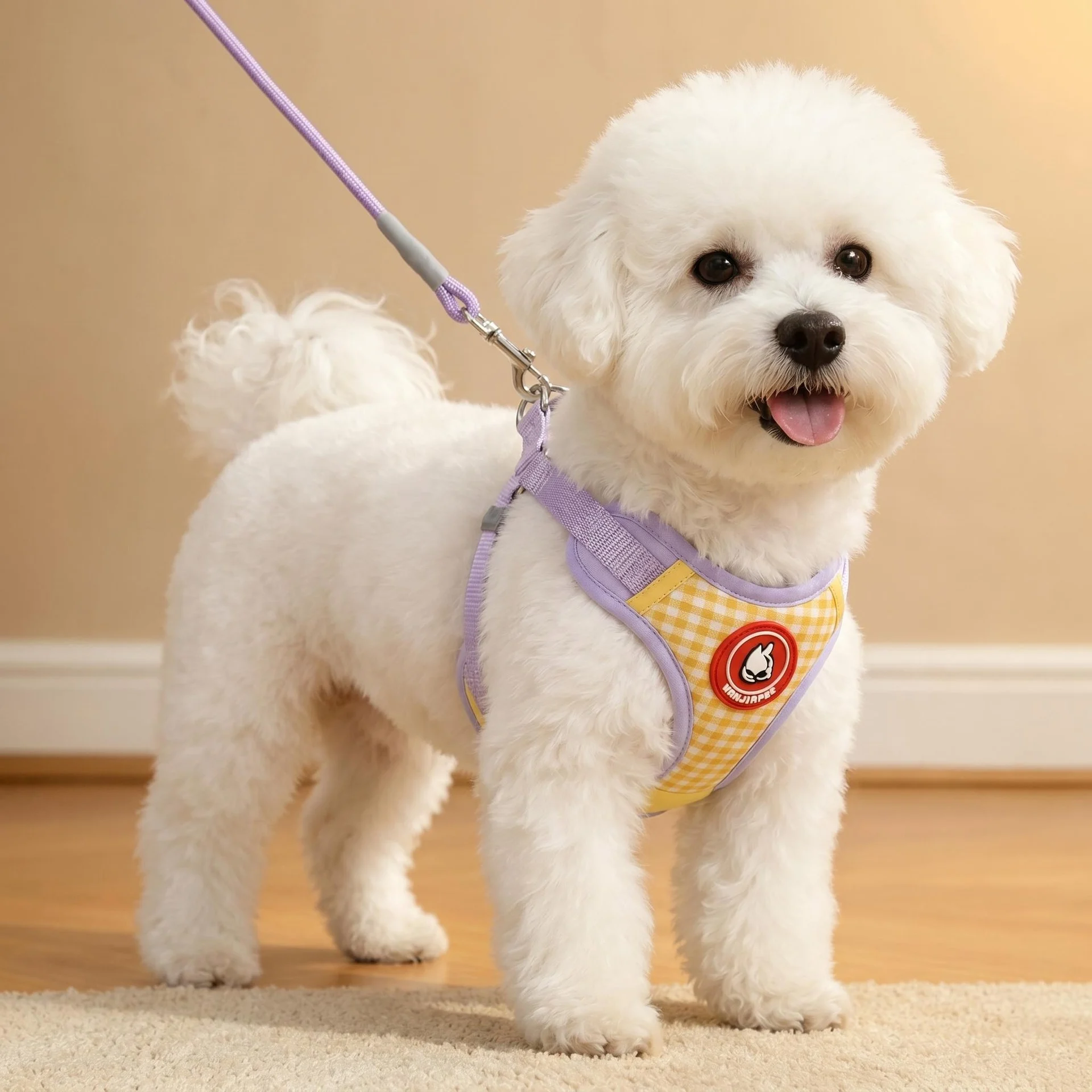 Dog outdoor harness Bichon Teddy Pomeranian small puppy leash puppy walking rope dog chain