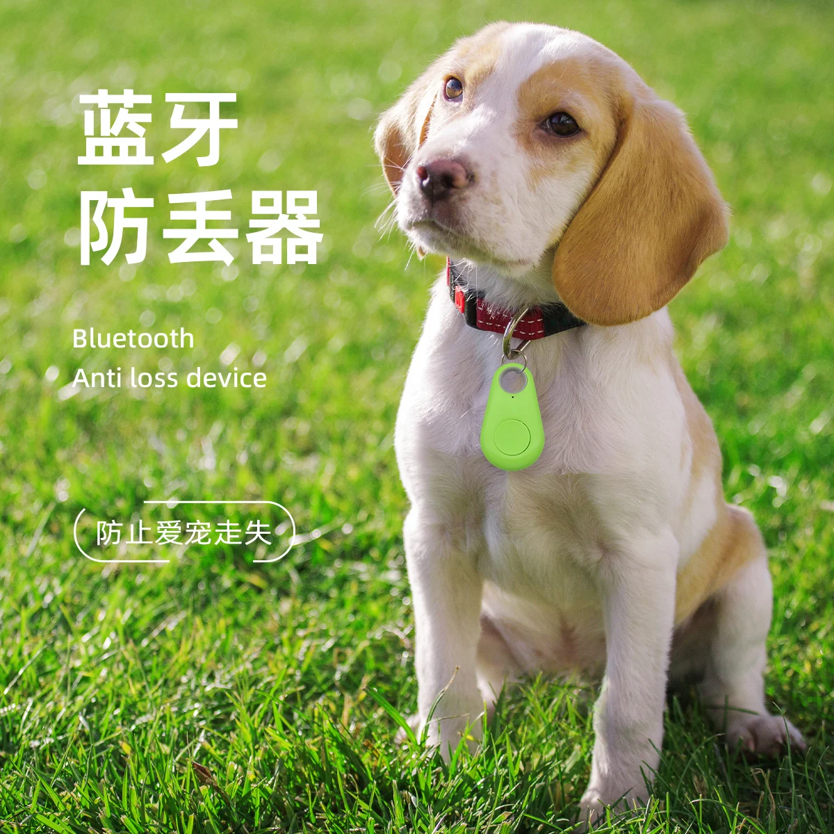 Pet smart wearable small water droplet Bluetooth anti-lost device dog positioning tracker anti-lost and anti-tamper key
