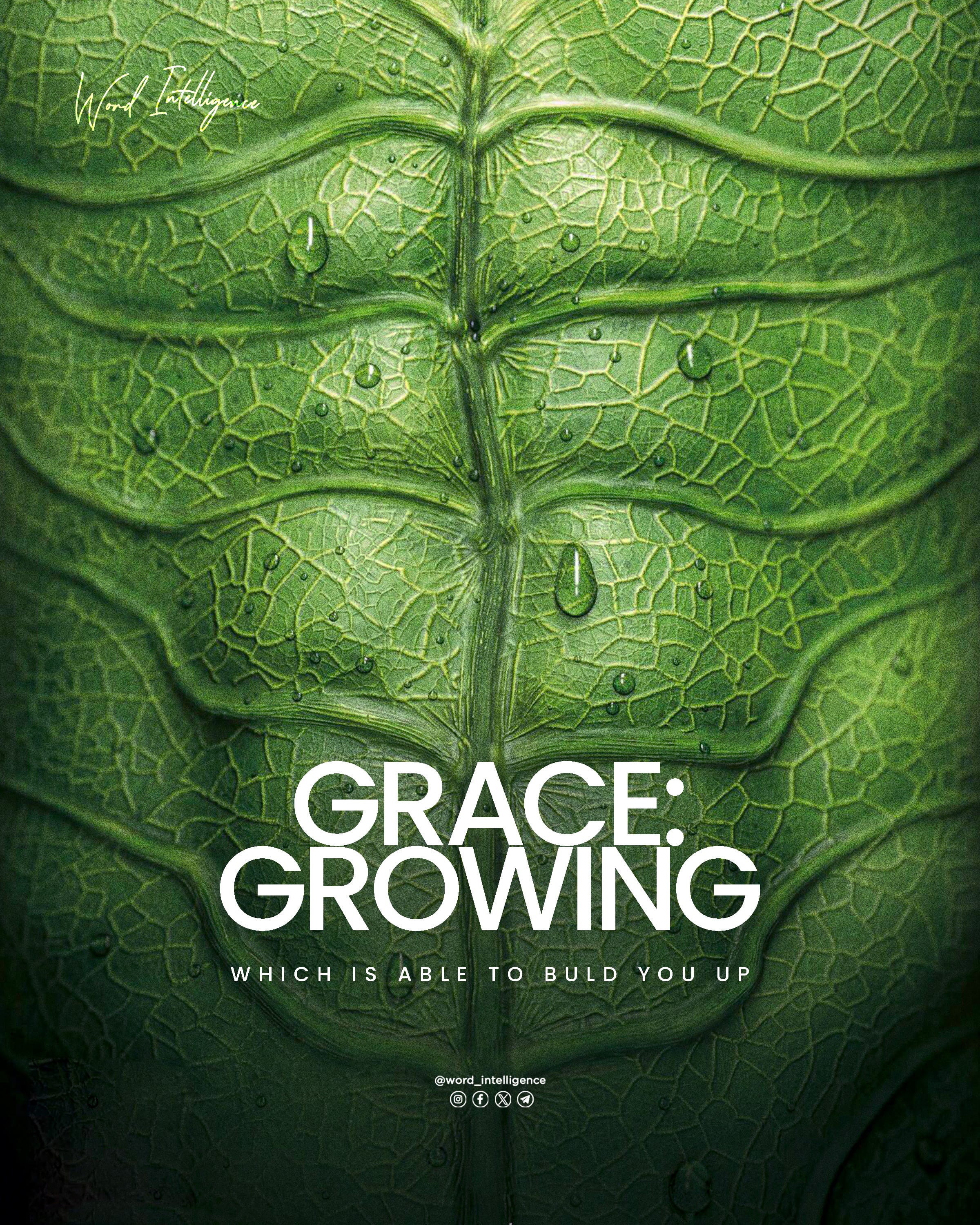 Growing in Grace: Built by the Word of His Grace