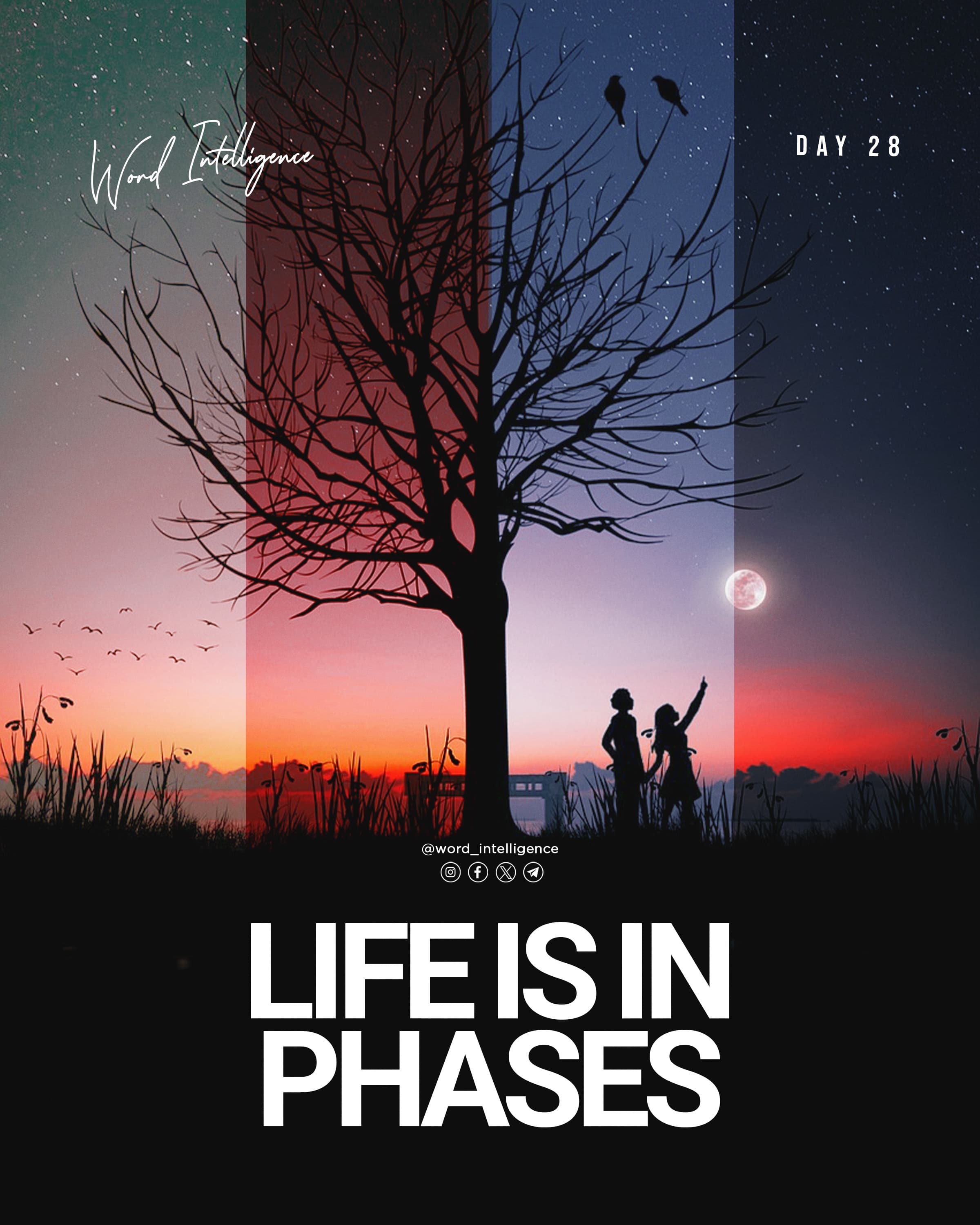 Life is in Phases