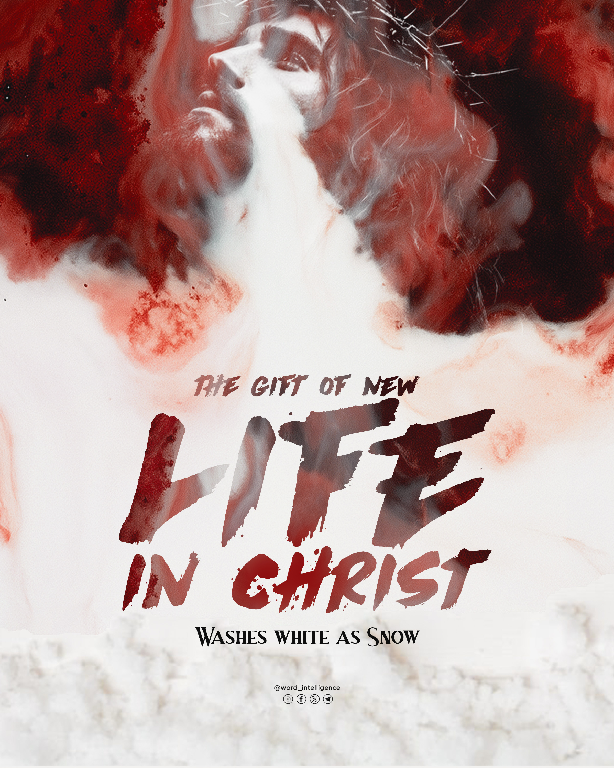 The Gift of New Life in Christ: Washes White as Snow