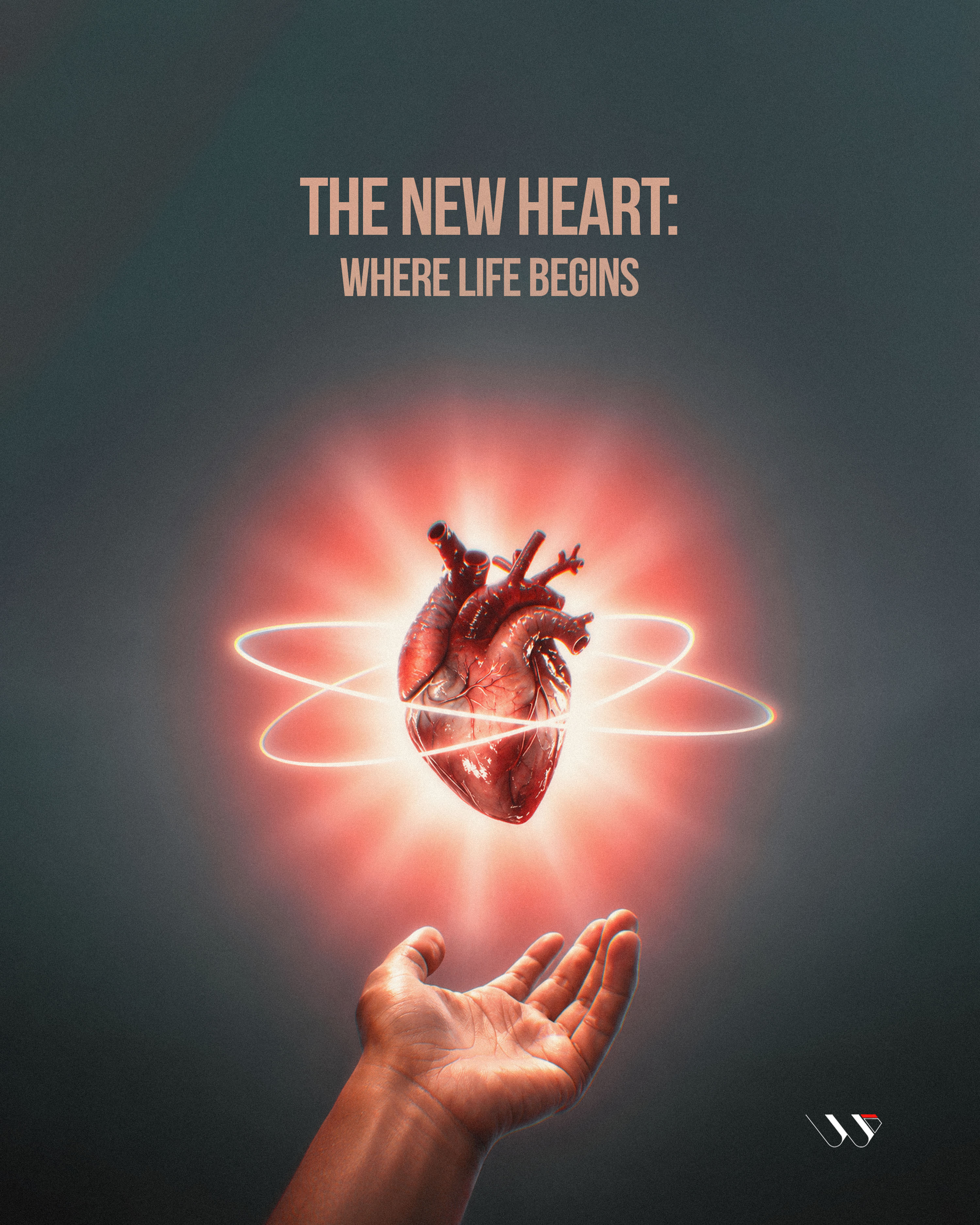 The New Heart: Where Life Begins