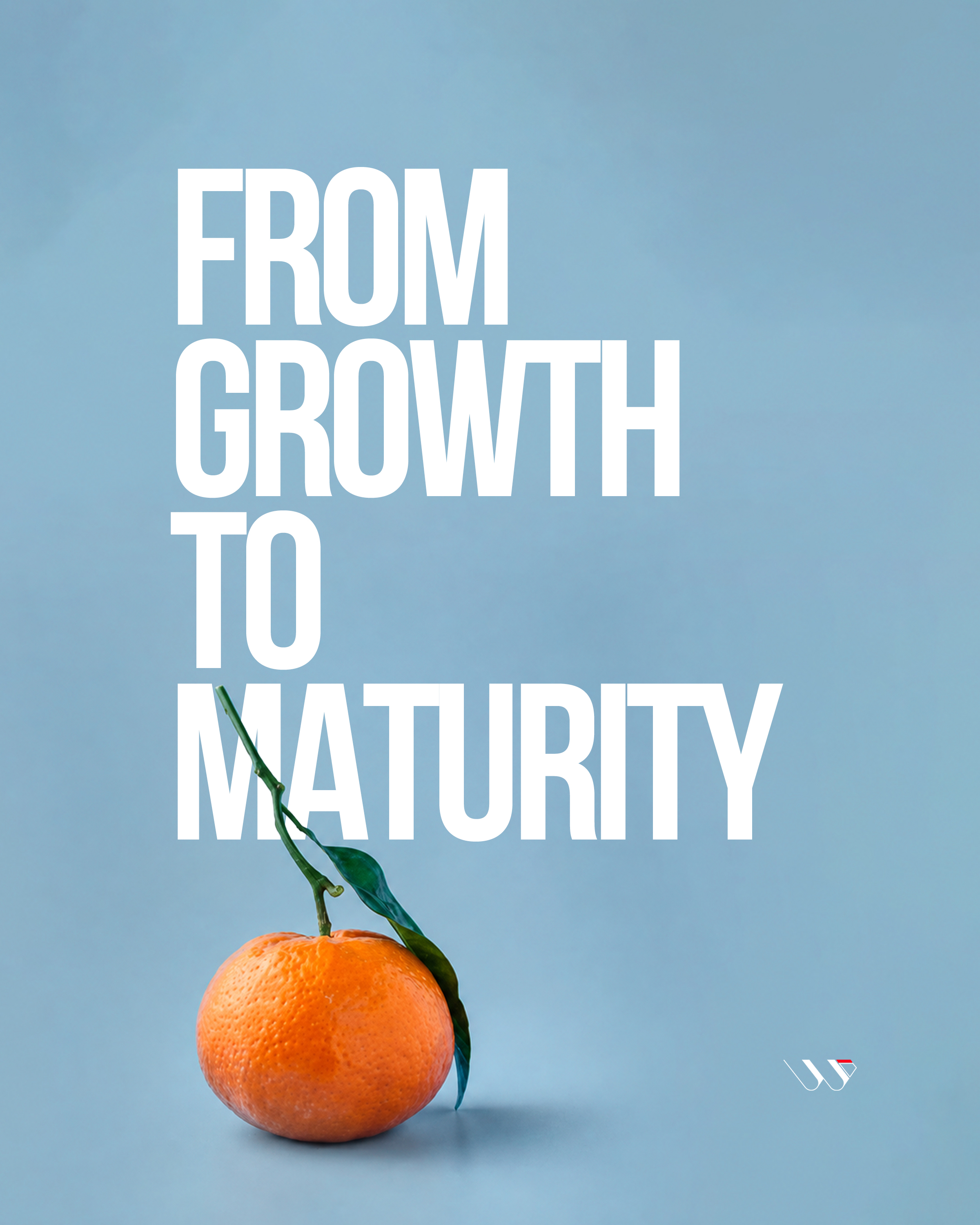 From Growth to Maturity
