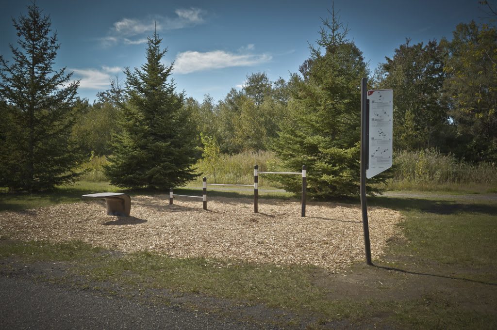 Parc de la Cité - photo 1