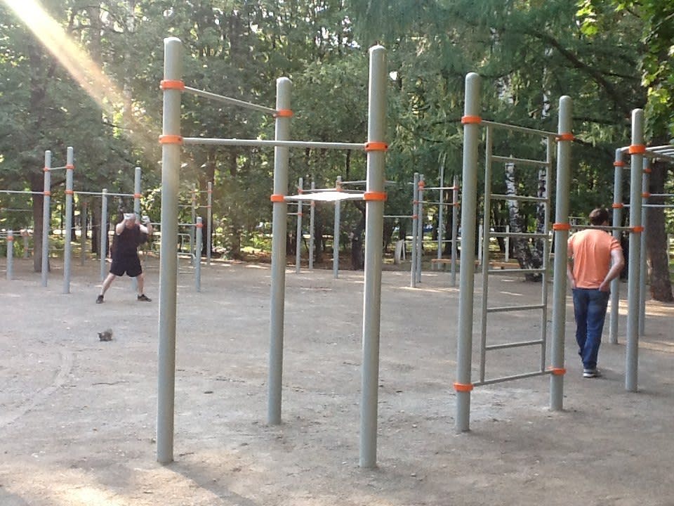 Рукоход на площадке Calisthenics Park at улица Свободы, Москва – фото 3 из 4