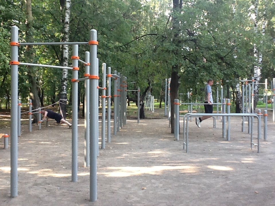 Шведская стенка на площадке Calisthenics Park at улица Свободы, Москва – фото 4 из 4