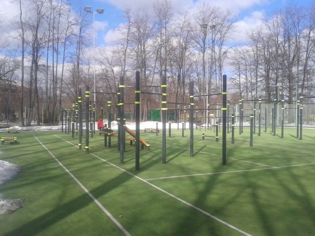 Ground Parallel Bars at Calisthenics Park at улица Лужники, Москва – photo 4 of 4
