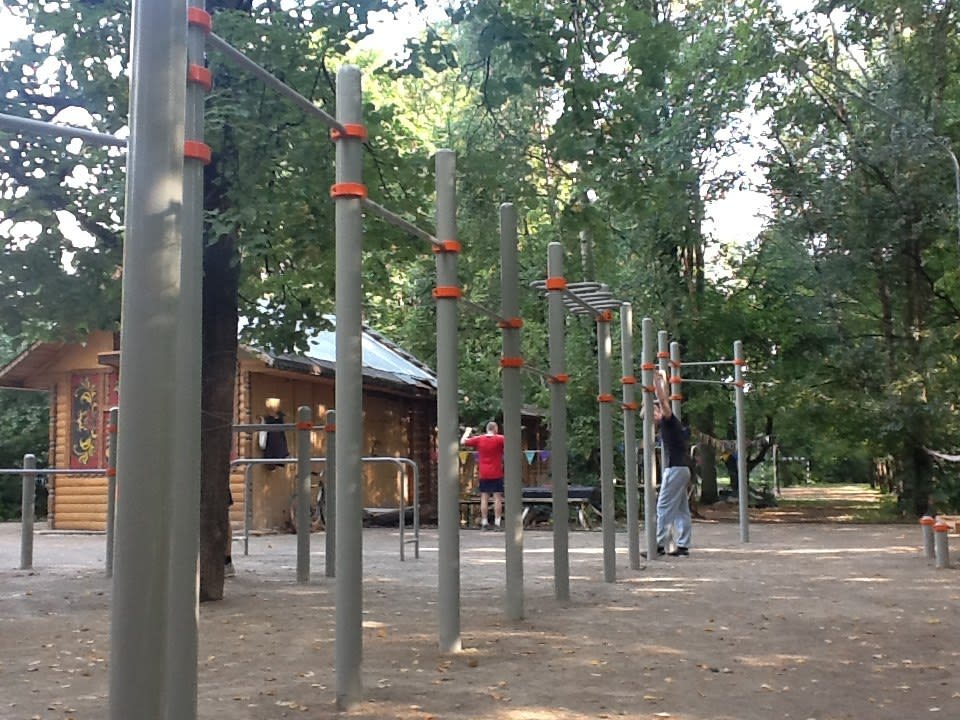 Брусья на площадке Calisthenics Park at улица Свободы, Москва – фото 2 из 4