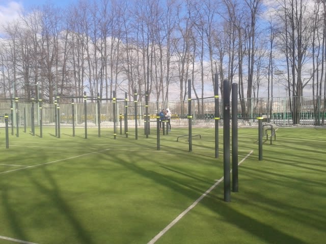 Parallel Gym Bars at Calisthenics Park at улица Лужники, Москва – photo 3 of 4