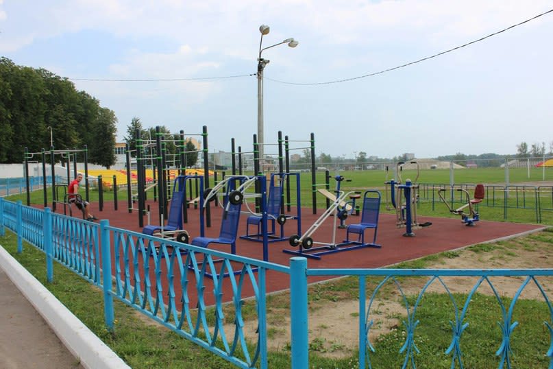 Liegestützgriffe bei Calisthenics Park at спорткомплекс "Мещёра", Егорьевск – Foto 2 von 5
