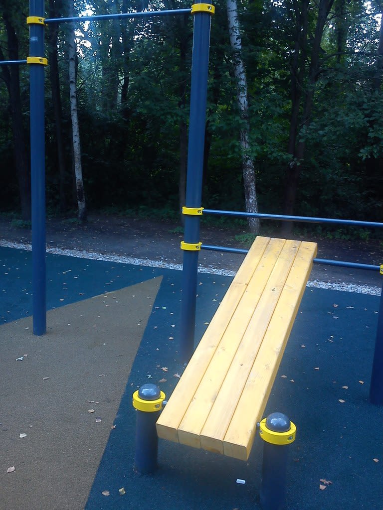 Abs Bench at Calisthenics Park at Кольцевая дорога ВДНХ, Москва – photo 6 of 6