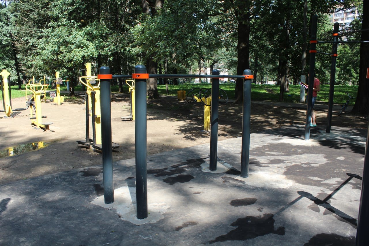 Wall Bars at Calisthenics Park at Ленинский проспект, Химки – photo 4 of 5